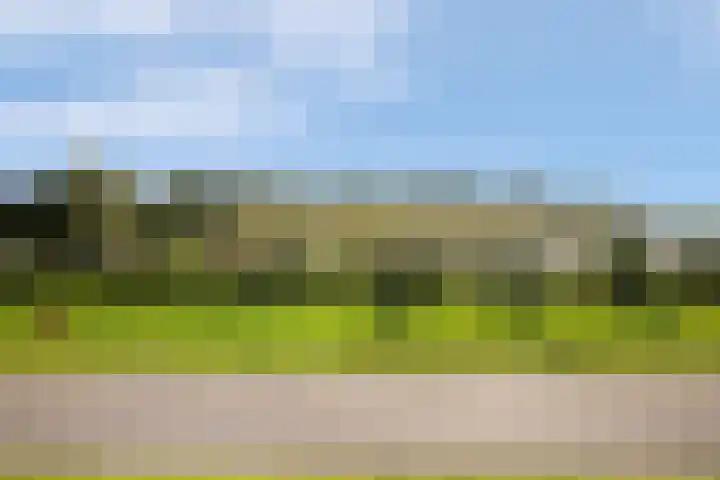 Zeevangszeedijk 8 Edam thumbnail 35