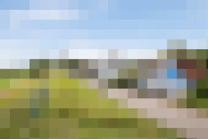 Zeevangszeedijk 8 Edam thumbnail 36