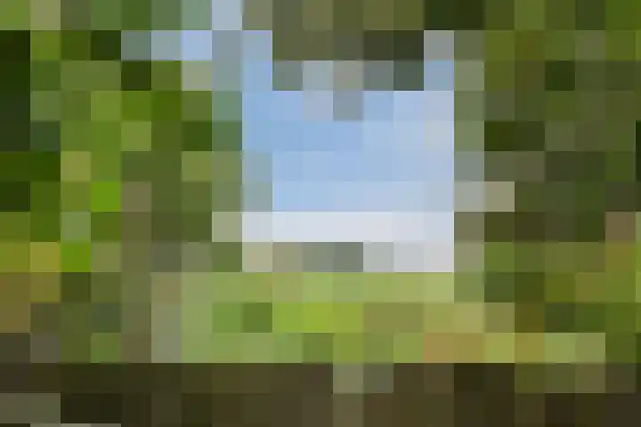 Zeevangszeedijk 8 Edam thumbnail 37