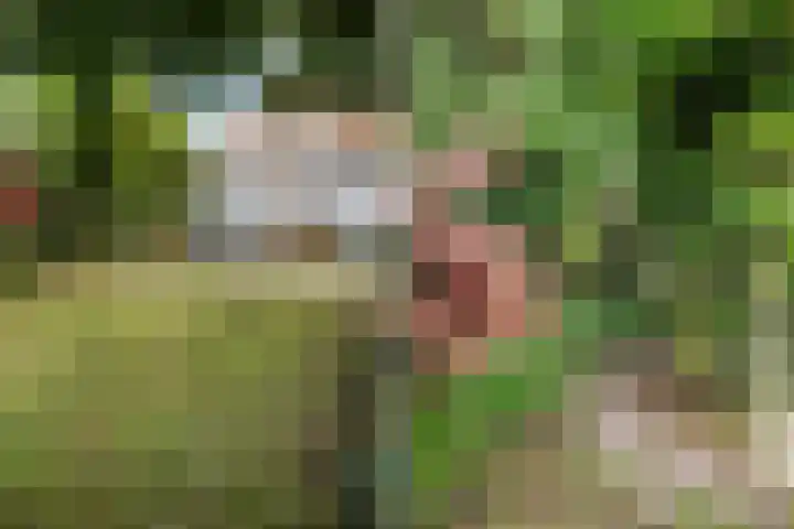 Zeevangszeedijk 8 Edam thumbnail 38