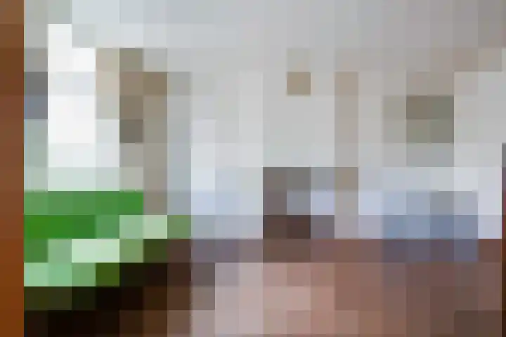 Zeevangszeedijk 8 Edam thumbnail 4
