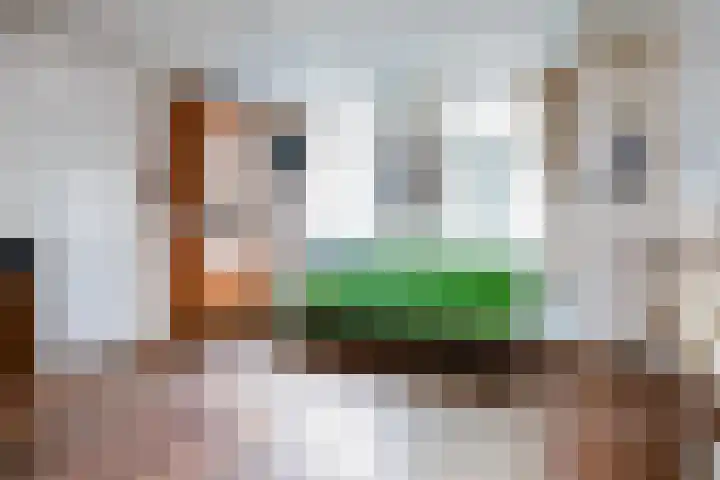 Zeevangszeedijk 8 Edam thumbnail 5