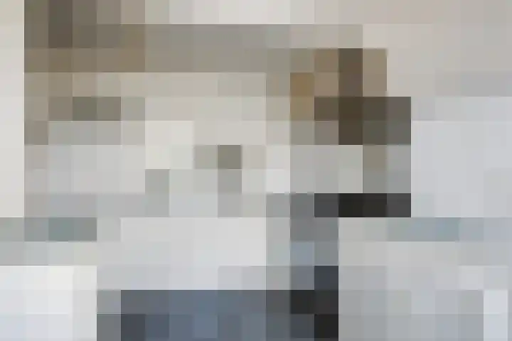 Zeevangszeedijk 8 Edam thumbnail 6