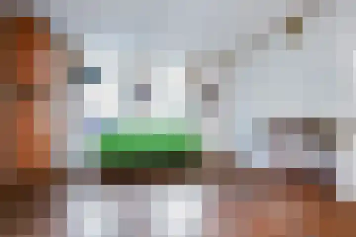 Zeevangszeedijk 8 Edam thumbnail 8