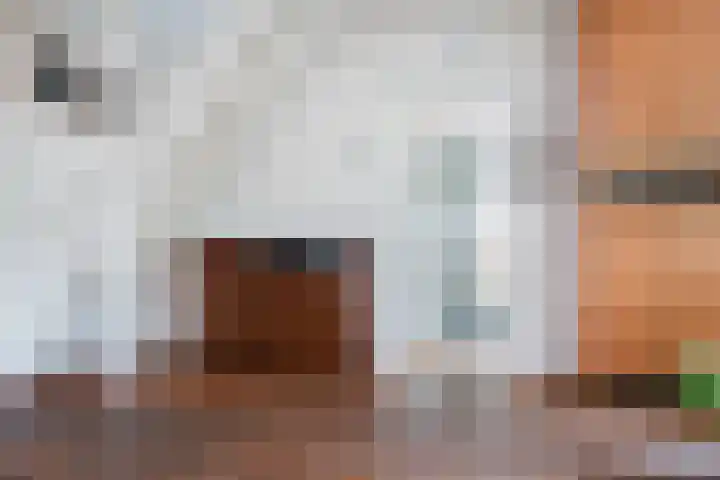 Zeevangszeedijk 8 Edam thumbnail 9