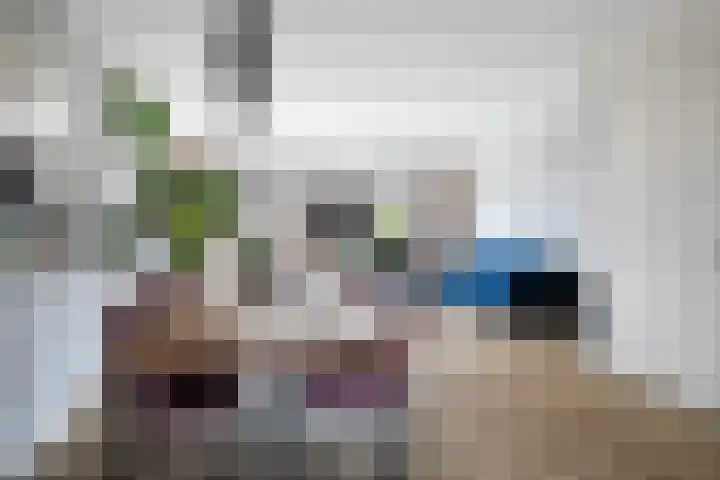Zeevliet 14 Benschop thumbnail 14
