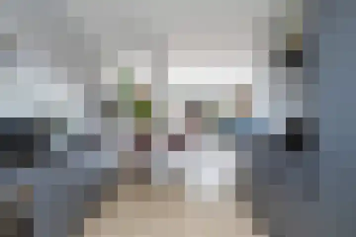 Zeevliet 14 Benschop thumbnail 17