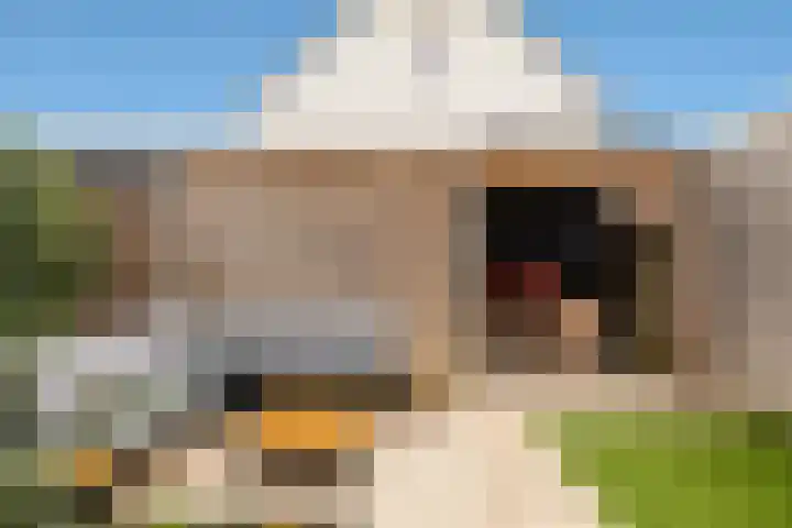 Zeevliet 14 Benschop thumbnail 18