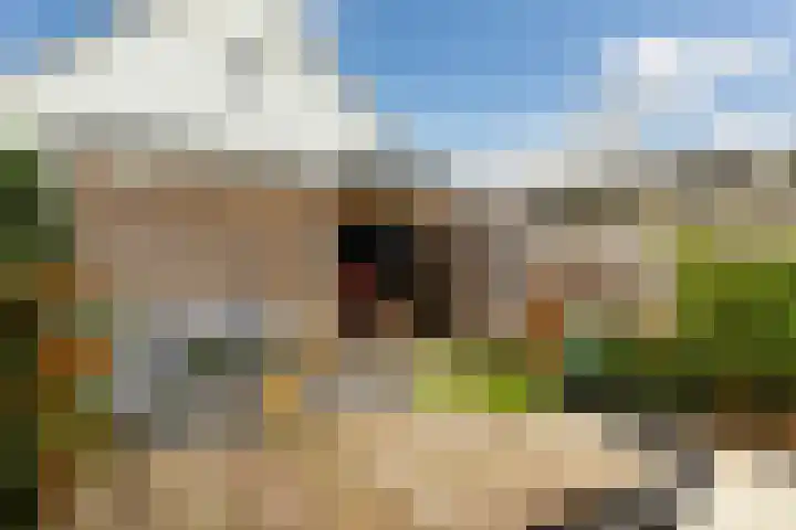 Zeevliet 14 Benschop thumbnail 19