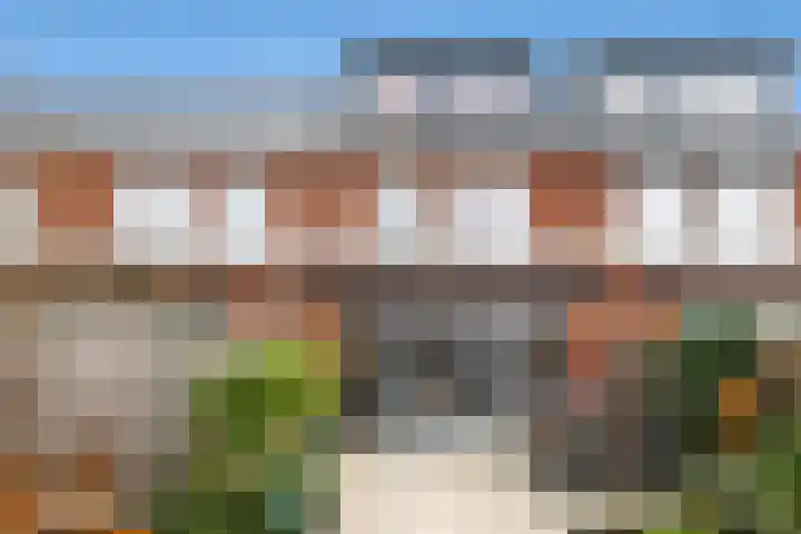 Zeevliet 14 Benschop thumbnail 21