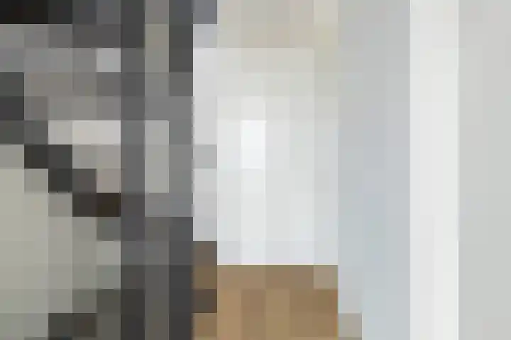 Zeevliet 14 Benschop thumbnail 22