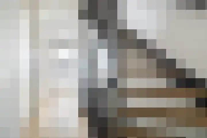 Zeevliet 14 Benschop thumbnail 23