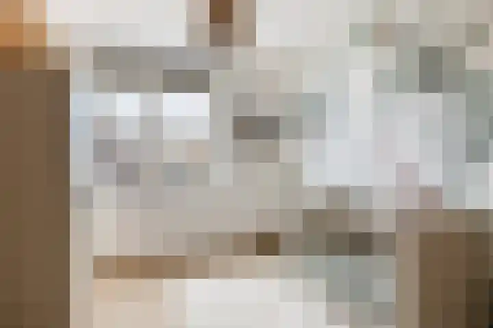 Zeevliet 14 Benschop thumbnail 27