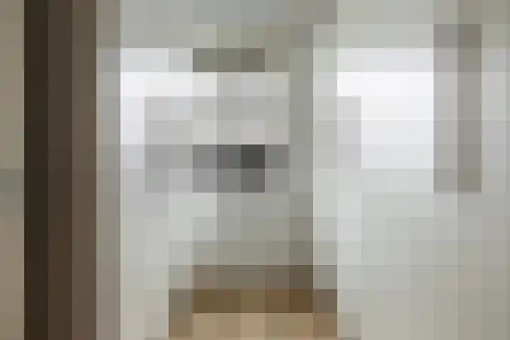 Zeevliet 14 Benschop thumbnail 29