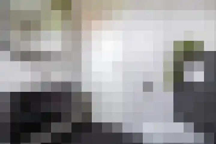 Zeevliet 14 Benschop thumbnail 31