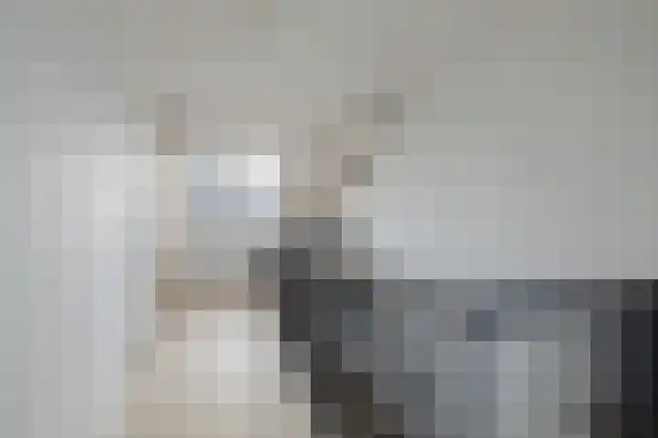 Zeevliet 14 Benschop thumbnail 32