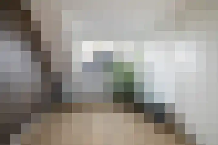 Zeevliet 14 Benschop thumbnail 36