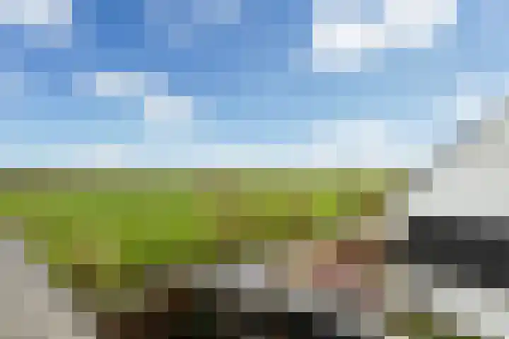 Zeevliet 14 Benschop thumbnail 38