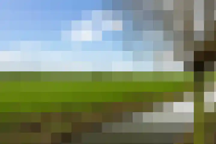Zeevliet 14 Benschop thumbnail 39