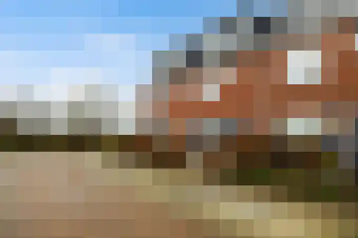 Zeevliet 14 Benschop thumbnail 6