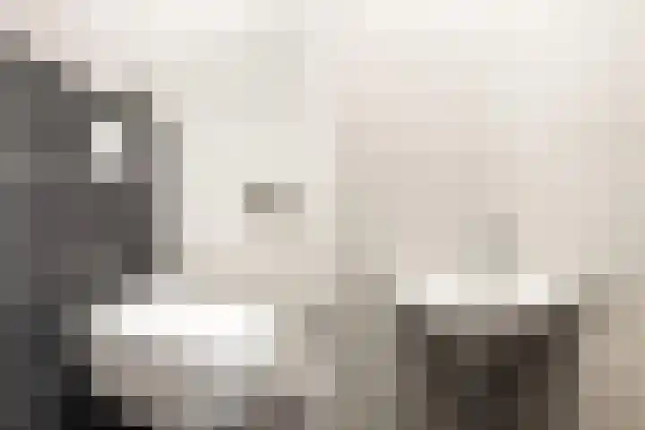 Zeevliet 14 Benschop thumbnail 9