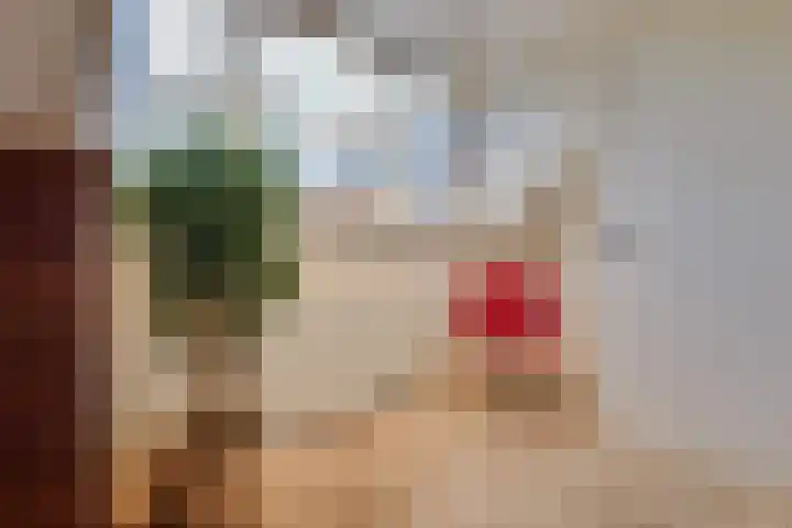 Zeewaardin 18 's-Hertogenbosch thumbnail 22