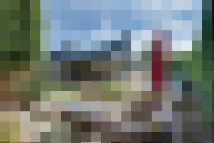 Zeewaardin 18 's-Hertogenbosch thumbnail 29