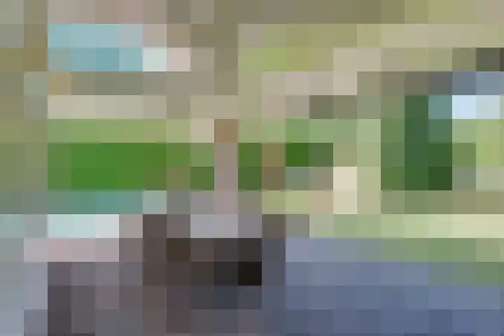 Zeewaardin 18 's-Hertogenbosch thumbnail 30