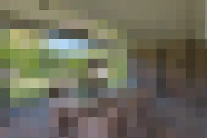 Zeewaardin 18 's-Hertogenbosch thumbnail 35
