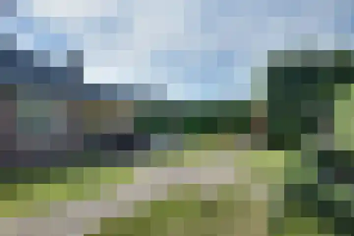 Zeewaardin 18 's-Hertogenbosch thumbnail 36