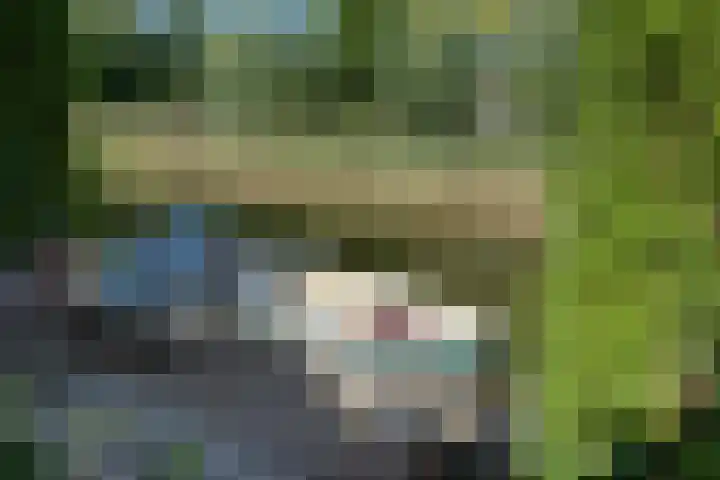 Zeewaardin 18 's-Hertogenbosch thumbnail 39