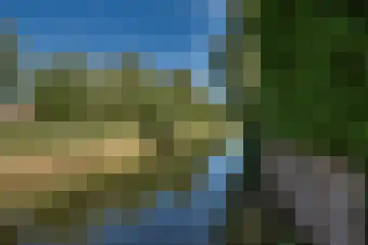 Zeewaardin 18 's-Hertogenbosch thumbnail 40
