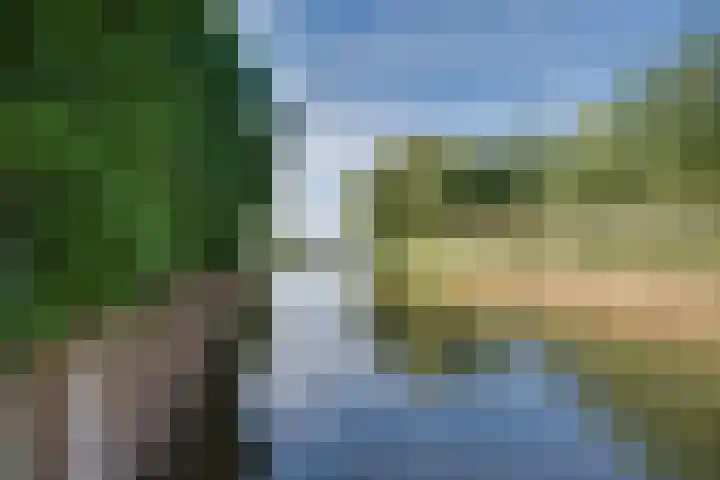 Zeewaardin 18 's-Hertogenbosch thumbnail 41
