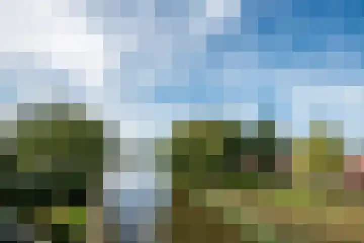 Zeewaardin 18 's-Hertogenbosch thumbnail 42