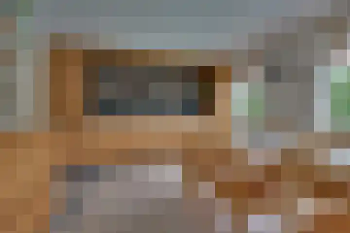Zeewaardin 18 's-Hertogenbosch thumbnail 8