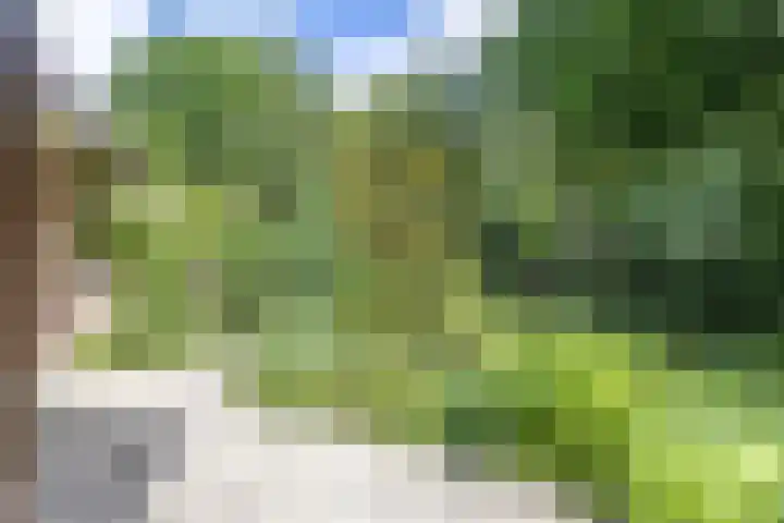Zeeweg 115 Heiloo thumbnail 22