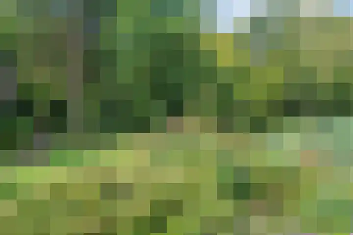 Zeeweg 129 Heiloo thumbnail 25