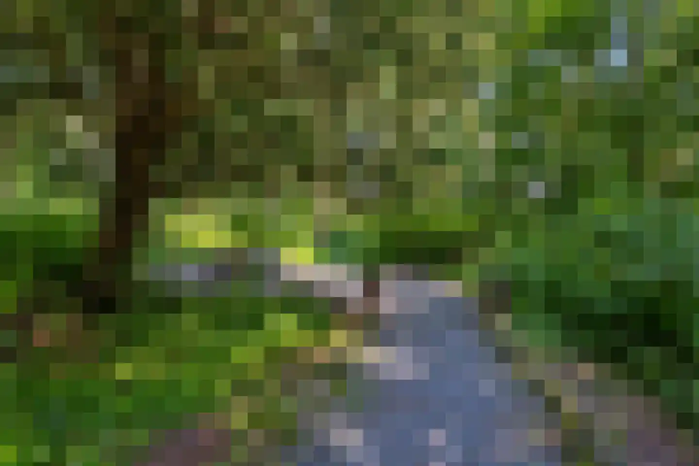 Zeeweg 16 Overveen thumbnail 7