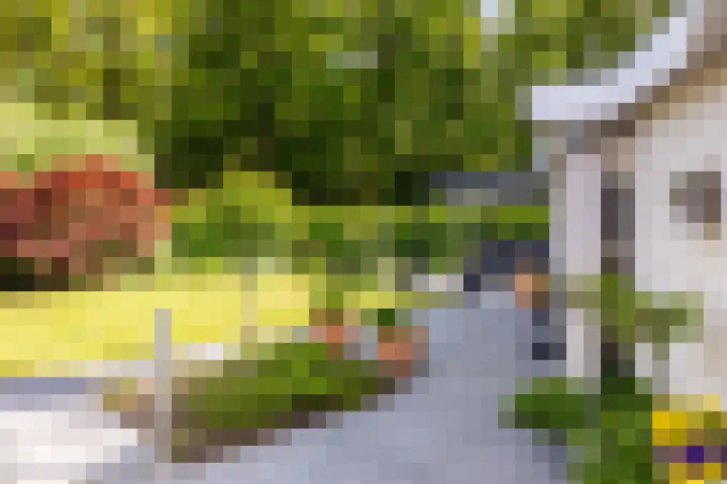 Zeeweg 18 a Oostvoorne thumbnail 59