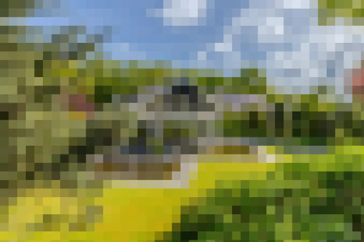 Zeeweg 18 a Oostvoorne thumbnail 9