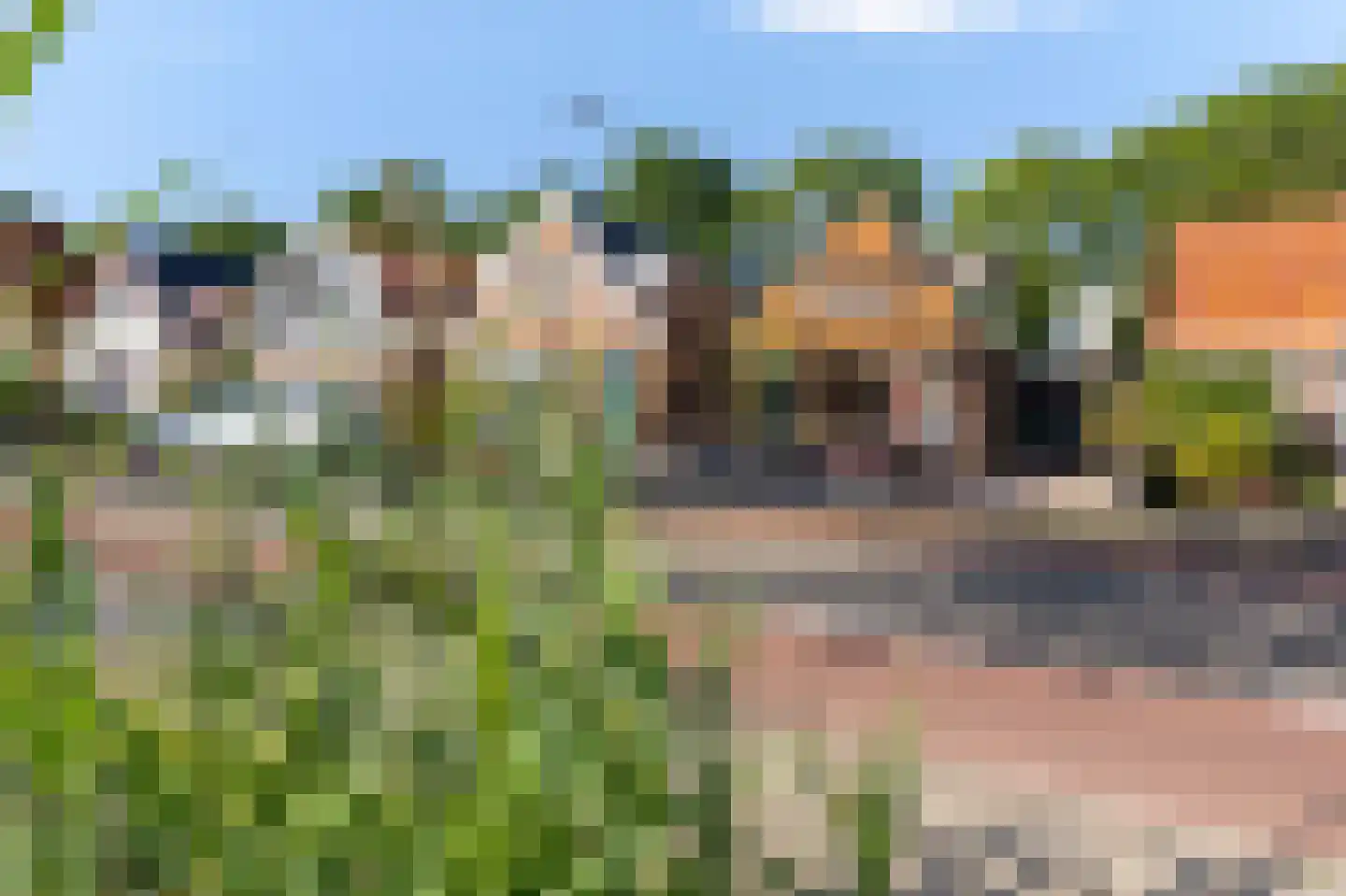 Zeeweg 19 Wervershoof thumbnail 7