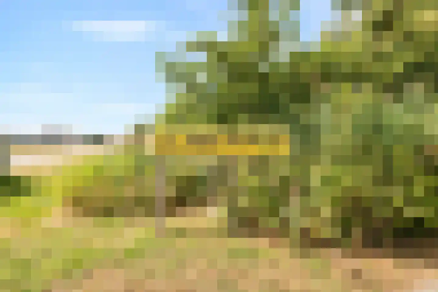 Zeeweg 2 A h14 Sint Maartensvlotbrug thumbnail 27