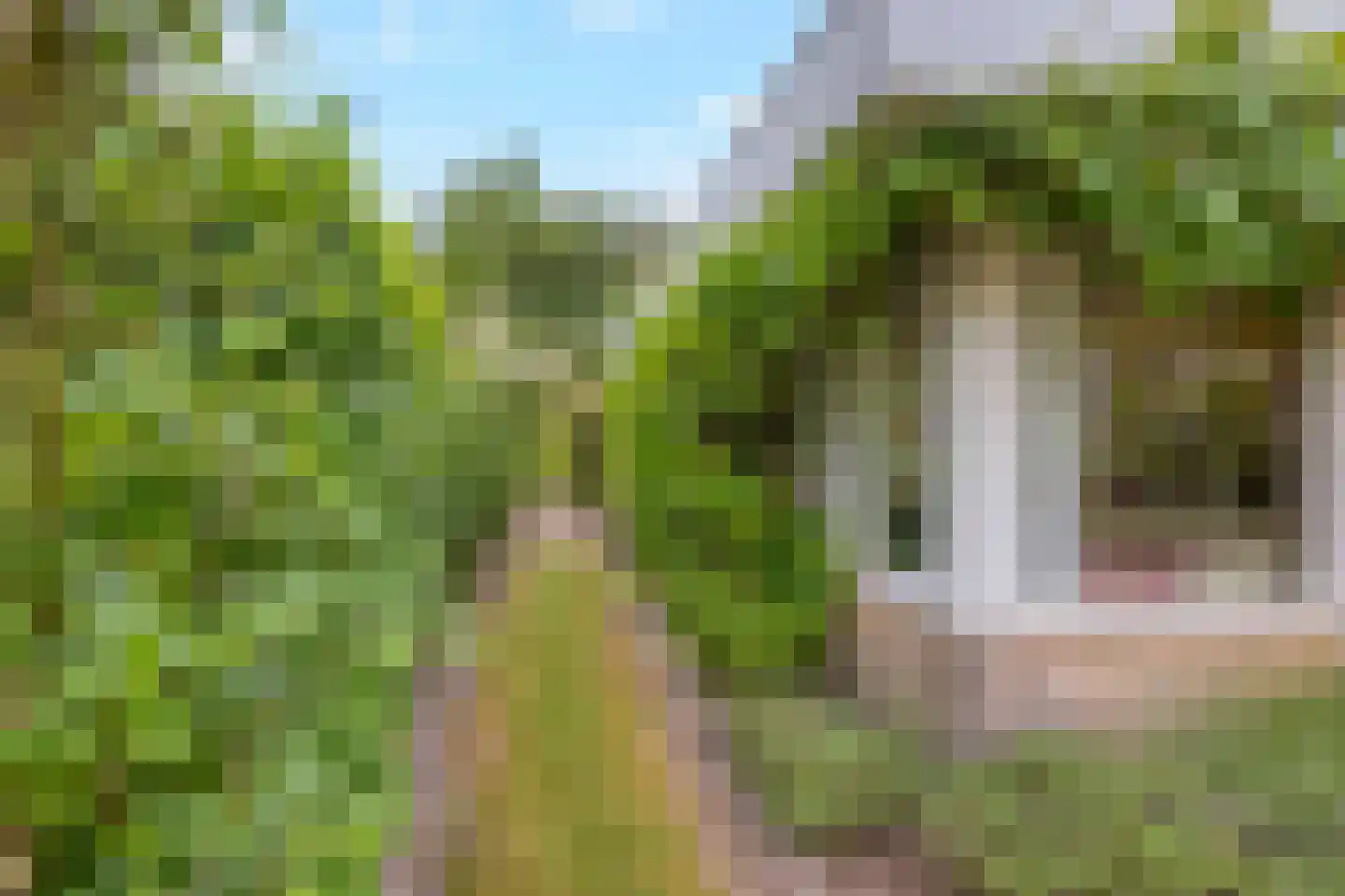 Zeeweg 2 A h158 Sint Maartensvlotbrug thumbnail 23