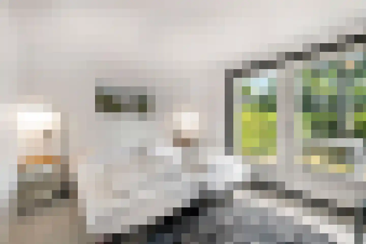 Zeeweg 2 A h80 Sint Maartensvlotbrug thumbnail 18