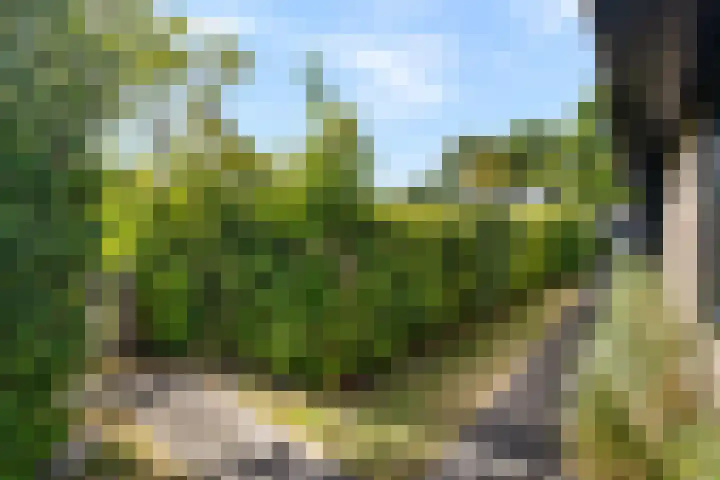 Zeeweg 2 A h80 Sint Maartensvlotbrug thumbnail 29