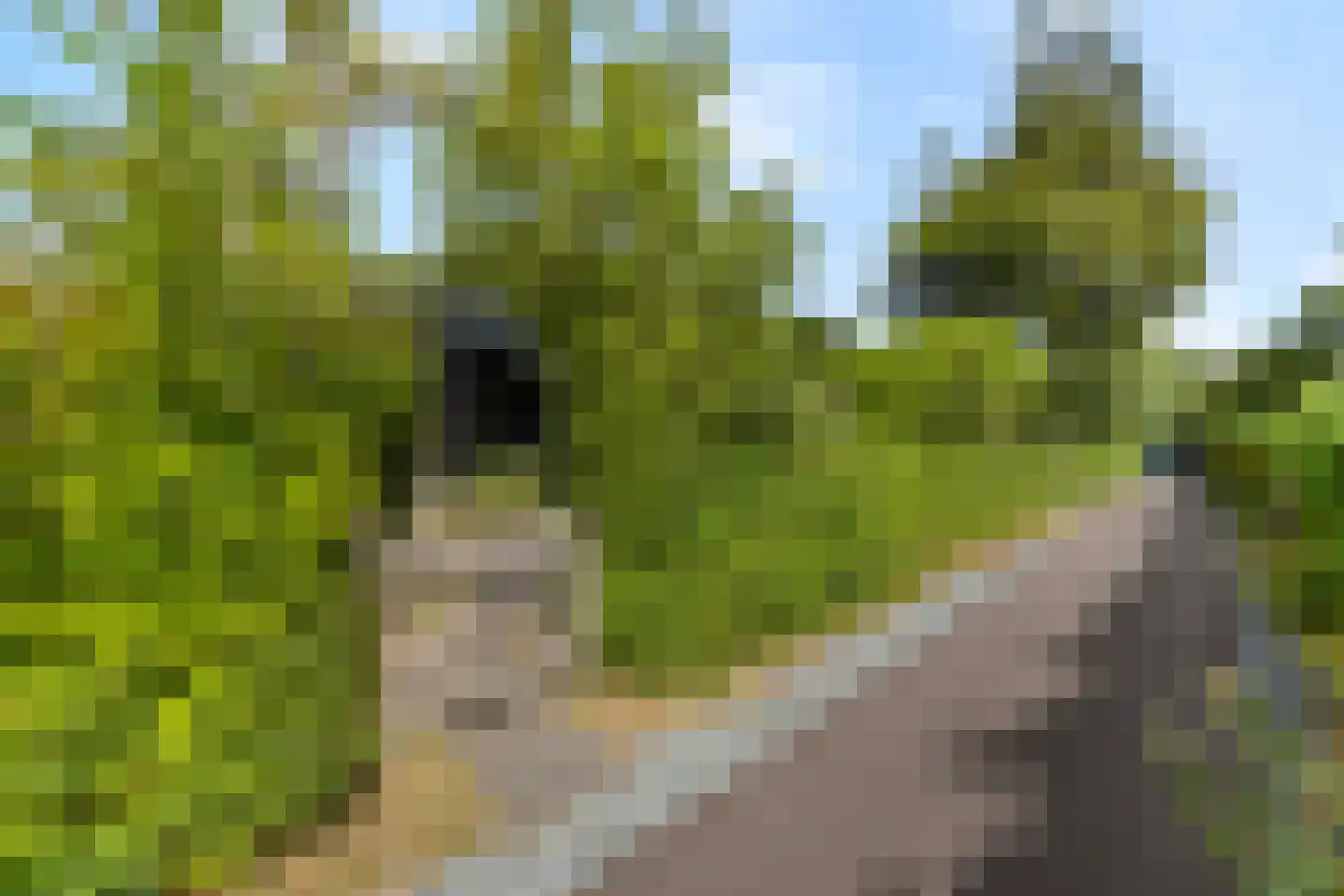 Zeeweg 2 A h80 Sint Maartensvlotbrug thumbnail 4