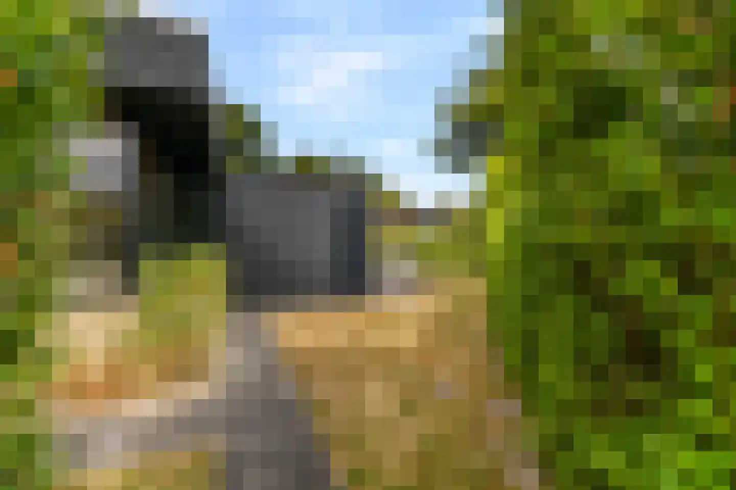 Zeeweg 2 A h80 Sint Maartensvlotbrug thumbnail 5
