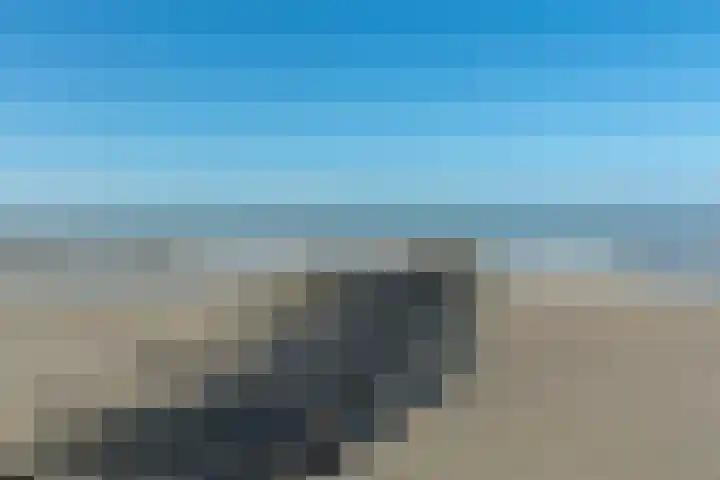 Zeeweg 2 a203 Callantsoog thumbnail 13