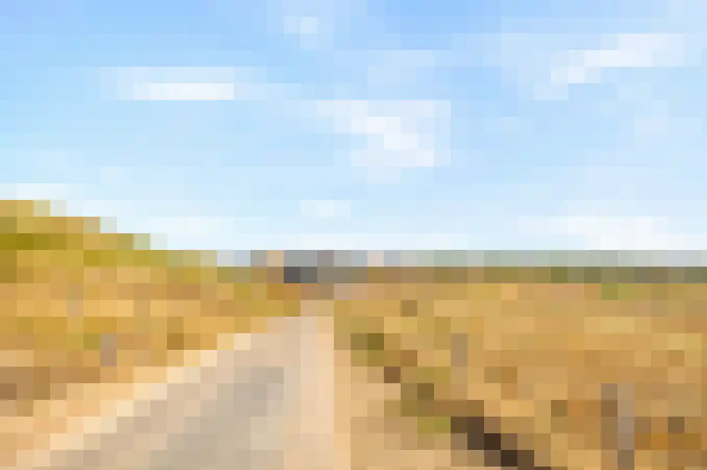 Zeeweg 2 a208 Callantsoog thumbnail 21