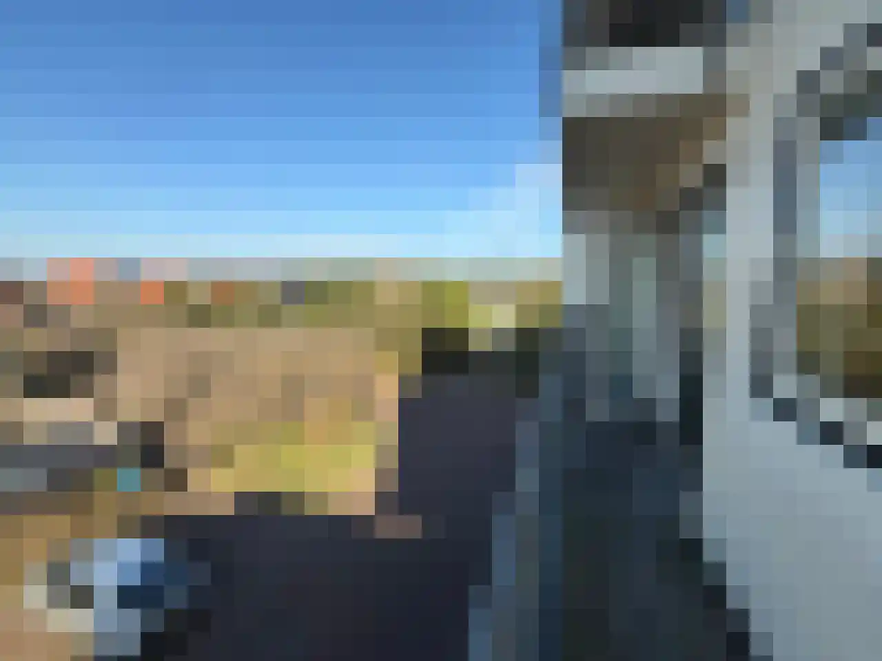 Zeeweg 2 Bergen aan Zee thumbnail 14